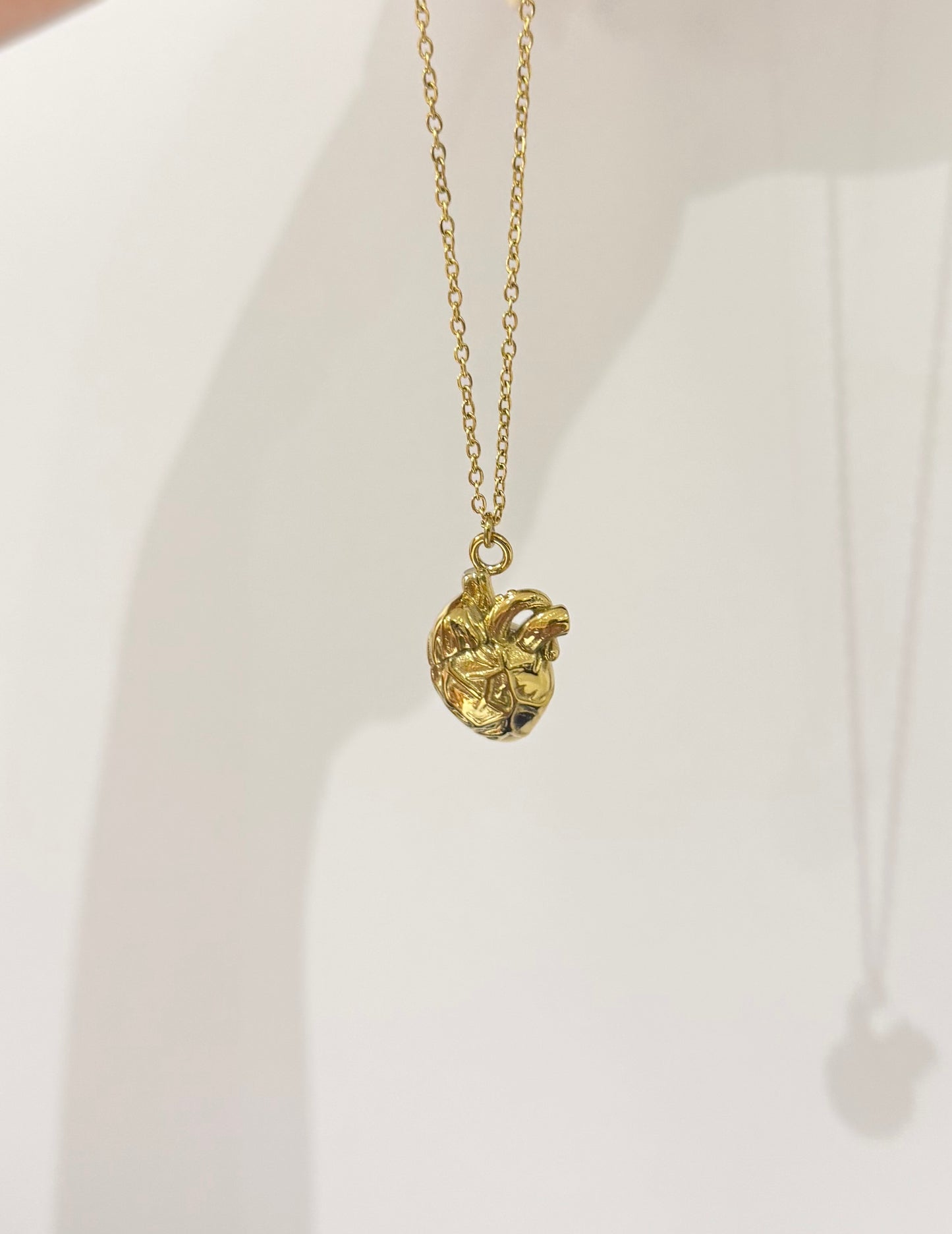 CADENA CORAZÓN ANATÓMICO ACERO