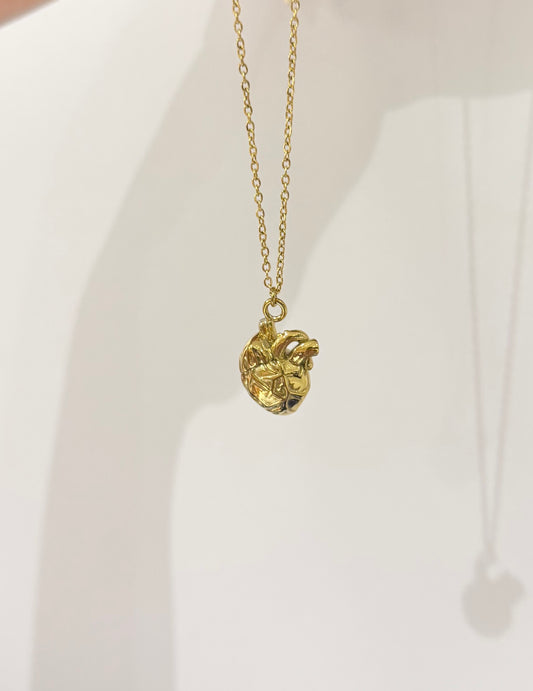 CADENA CORAZÓN ANATÓMICO ACERO