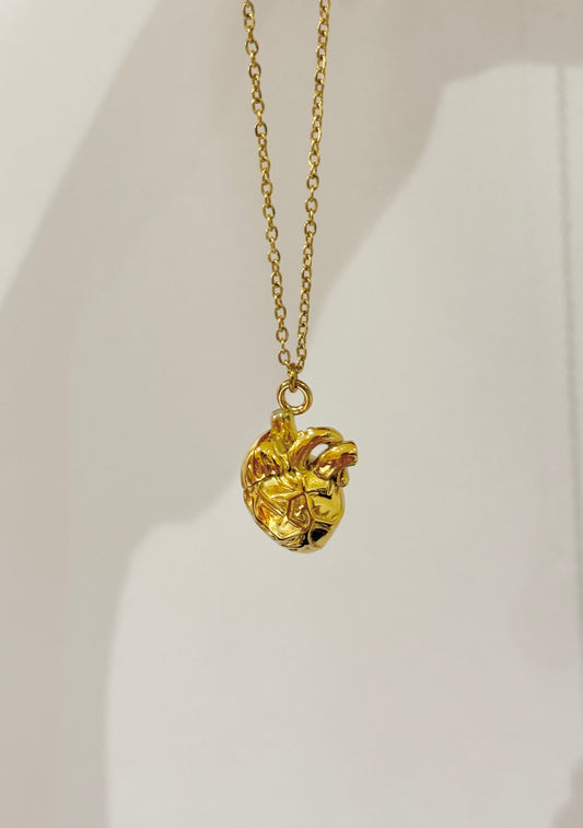 CADENA CORAZÓN ANATÓMICO ACERO