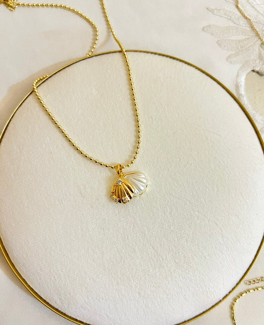 CADENA CONCHA NÁCAR