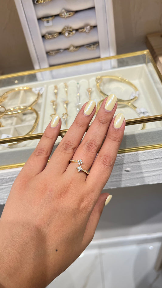 ANILLO DOBLE FLOR