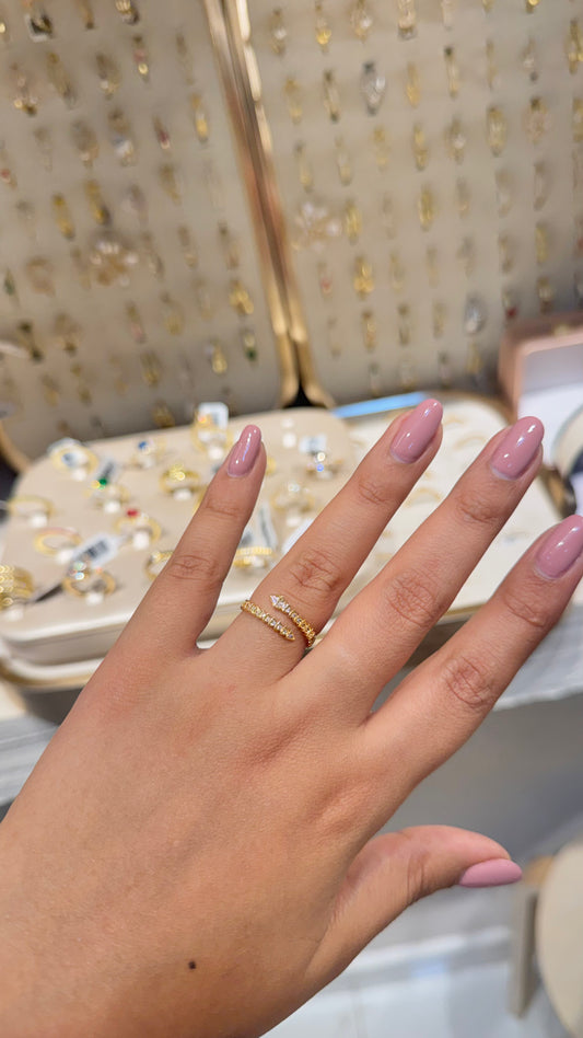 ANILLO HERMES DELGADO